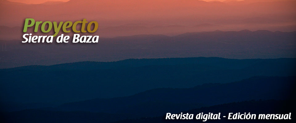 banner2.jpg