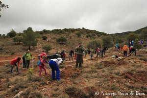 dia del bosque 2019 1