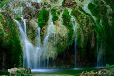 agua agua
