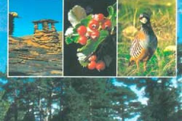 foto de portada de la guía para conocer la sierra de baza