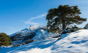 Fotografía tomada en la zona del macizo central el pasado mes de enero con el Calar de Santa Bárbara (2.269 m.) al fondo.