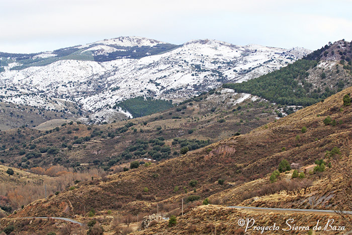 Foto de Uno de los tramos por el que discurre el inicio del recorrido de esta ruta, con las cumbres nevadas de los montes de Gor al fondo.
