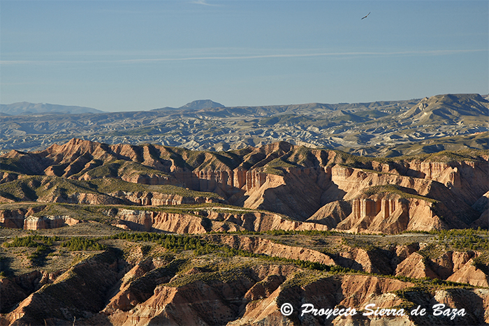 Foto del Espectacular paisaje del Desierto de Gorafe (Granada).