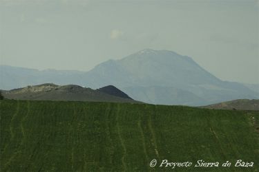 Foto del altiplano de Baza