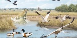 El Humedal del Baíco como fósil viviente del prehistórico lago de Baza, en el sur de España