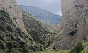 Foto de El barranco Gallego es un lugar de gran belleza e interés geológico y botánico, que bien puede merecer nuestra visita. La presencia de la figura humana caminando por la vaguada da una perfecta idea de la magnitud de este paraje.
