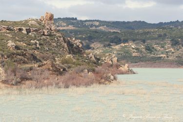 Noticias del altiplano granadino - Abril 2025