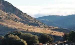 Las altas temperaturas y las bajas precipitaciones se han dejado sentir este verano en el paisaje de la Sierra de Baza. En la imagen una zona del Cerro Quintana.