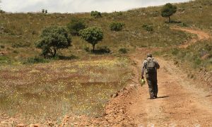 Foto de Los caminos y pistas forestales son fundamentales para las comunicaciones y el desarrollo de un territorio.
