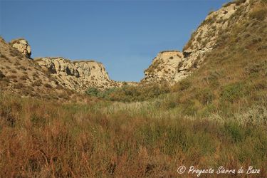 Foto noticias del altiplano granadino
