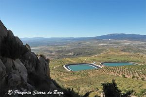 noticias del altiplano