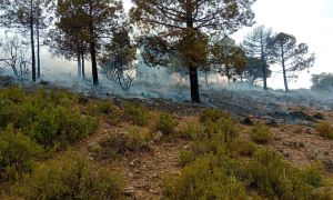 Imagen facilitada por el Plan Infoca de la zona donde se generó el incendio en la Sierra de Baza al fondo.