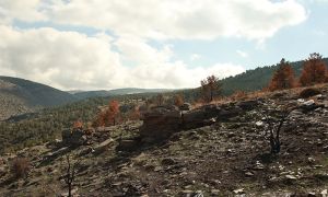 Foto Proyecto Sierra de Baza