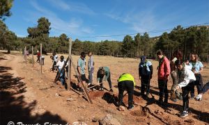 Foto de Algunos participantes en una de las jornadas de recuperación de setos arbóreos y arbustivos en las lindes de los antiguos campos de cultivo de la Sierra de Baza.